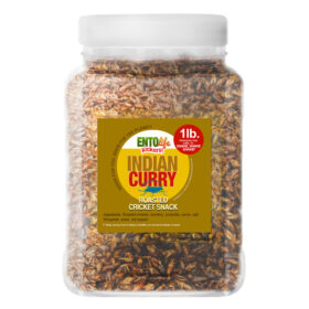 Indian Curry Flavored Edible Crickets