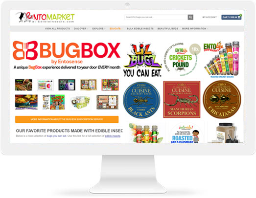 Edible Insects For Sale